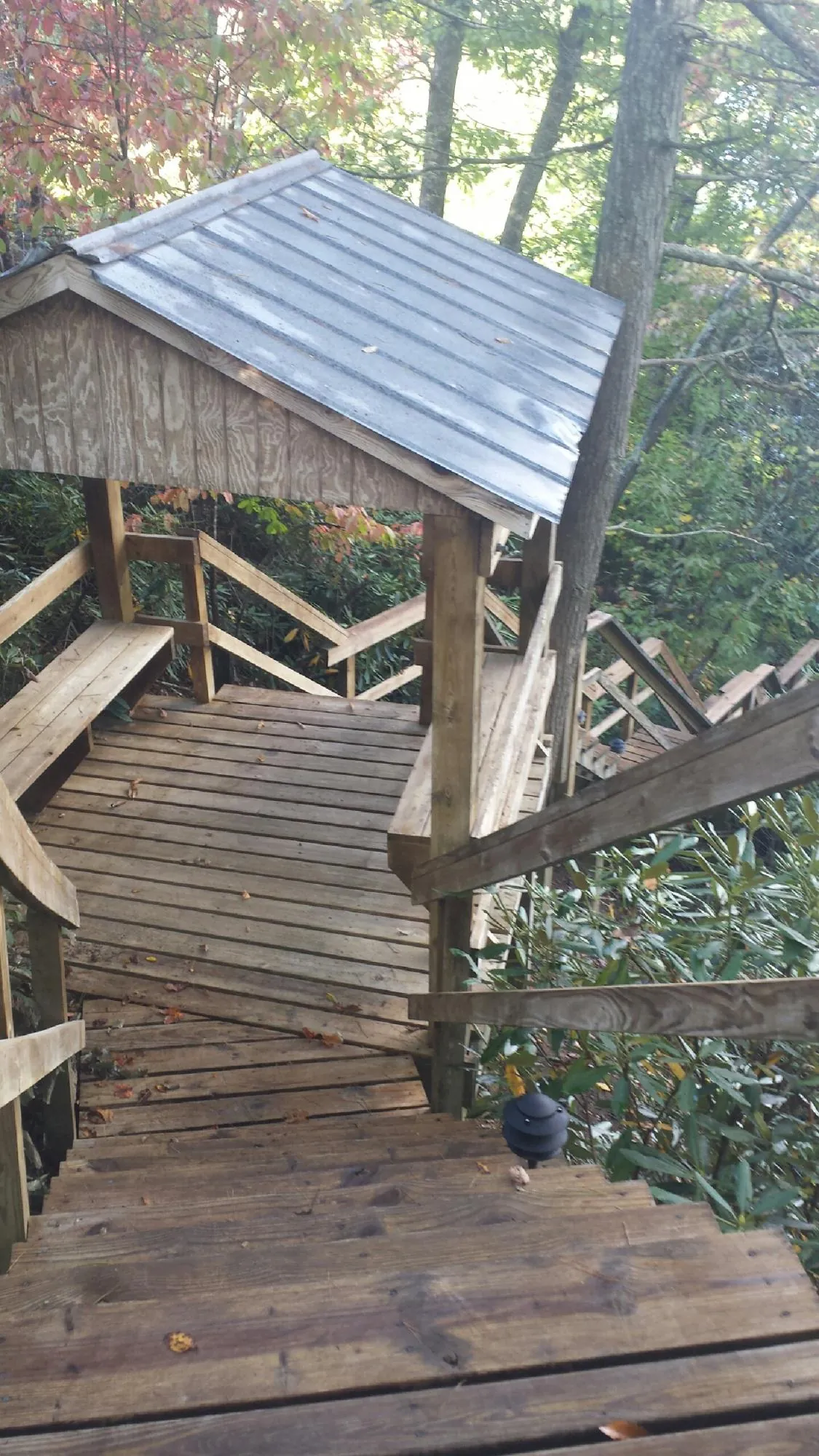 Metal roofed shelter over wooden steps on a wooded walkway — Skylight Repair & Installation work by our crew in Bagley